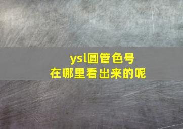 ysl圆管色号在哪里看出来的呢