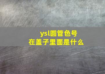 ysl圆管色号在盖子里面是什么