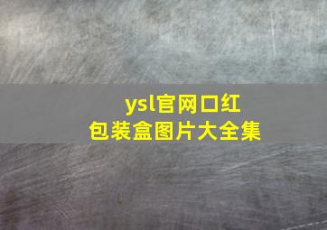 ysl官网口红包装盒图片大全集