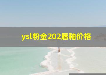 ysl粉金202唇釉价格