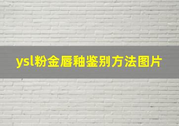 ysl粉金唇釉鉴别方法图片