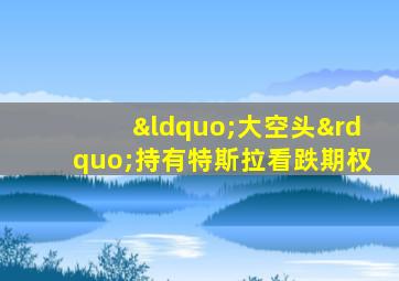 “大空头”持有特斯拉看跌期权