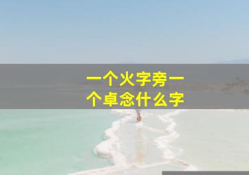 一个火字旁一个卓念什么字