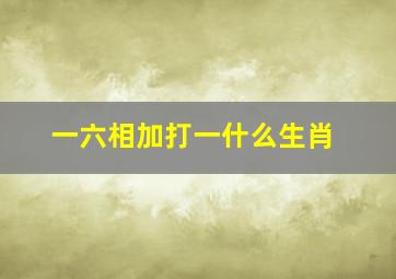 一六相加打一什么生肖