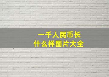 一千人民币长什么样图片大全