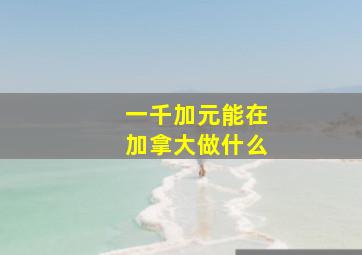 一千加元能在加拿大做什么