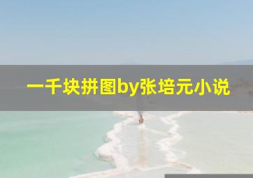 一千块拼图by张培元小说