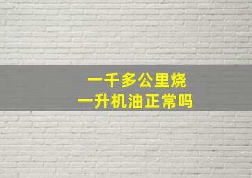 一千多公里烧一升机油正常吗