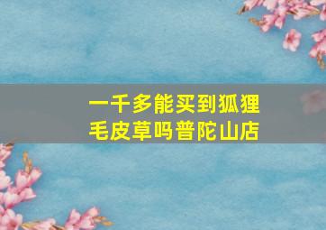 一千多能买到狐狸毛皮草吗普陀山店