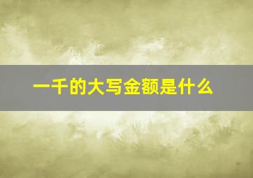 一千的大写金额是什么