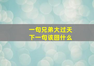 一句兄弟大过天下一句该回什么