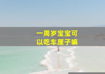 一周岁宝宝可以吃车厘子嘛