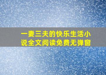 一妻三夫的快乐生活小说全文阅读免费无弹窗