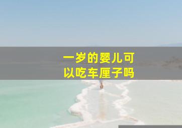 一岁的婴儿可以吃车厘子吗