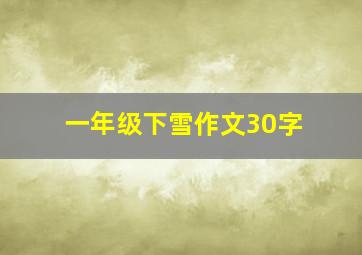 一年级下雪作文30字