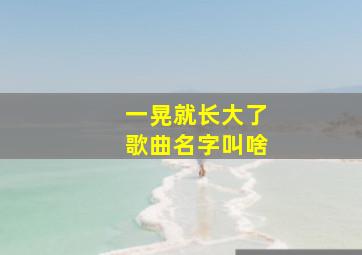 一晃就长大了歌曲名字叫啥