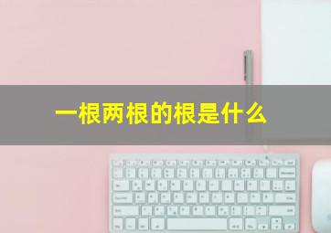 一根两根的根是什么