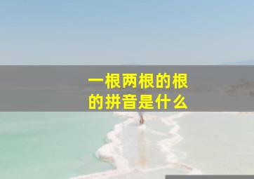 一根两根的根的拼音是什么