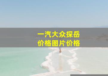 一汽大众探岳价格图片价格