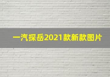 一汽探岳2021款新款图片