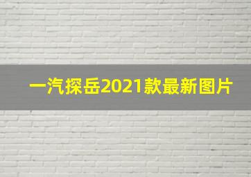 一汽探岳2021款最新图片