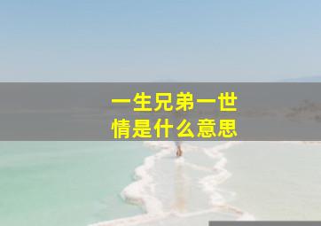 一生兄弟一世情是什么意思