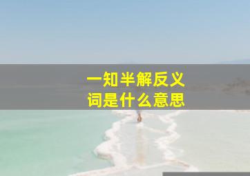 一知半解反义词是什么意思