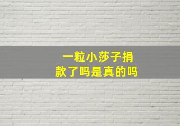 一粒小莎子捐款了吗是真的吗