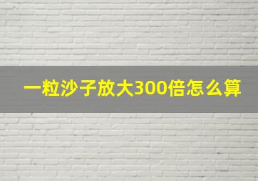 一粒沙子放大300倍怎么算