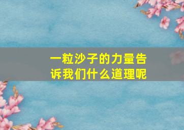 一粒沙子的力量告诉我们什么道理呢