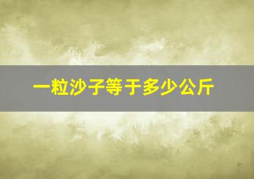 一粒沙子等于多少公斤