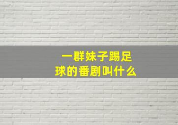 一群妹子踢足球的番剧叫什么