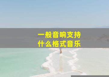 一般音响支持什么格式音乐