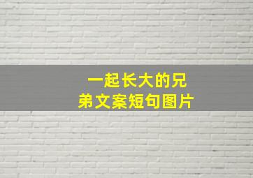 一起长大的兄弟文案短句图片