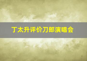 丁太升评价刀郎演唱会