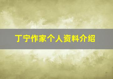 丁宁作家个人资料介绍