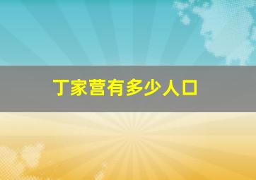 丁家营有多少人口