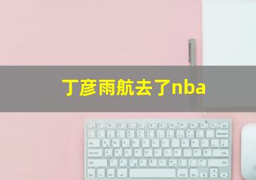 丁彦雨航去了nba