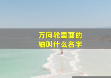 万向轮里面的轴叫什么名字