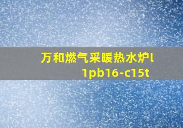 万和燃气采暖热水炉l1pb16-c15t