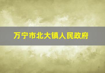 万宁市北大镇人民政府