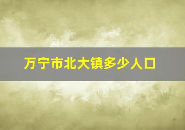 万宁市北大镇多少人口