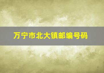 万宁市北大镇邮编号码