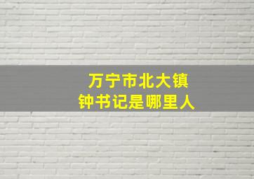 万宁市北大镇钟书记是哪里人