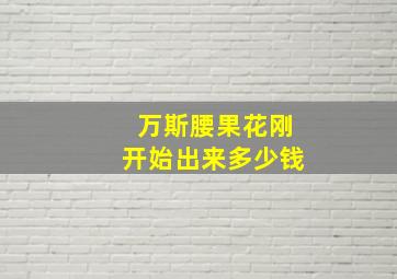 万斯腰果花刚开始出来多少钱