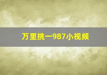 万里挑一987小视频