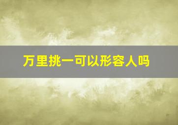 万里挑一可以形容人吗