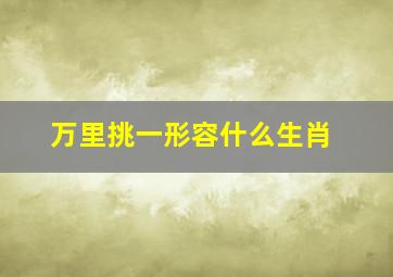 万里挑一形容什么生肖