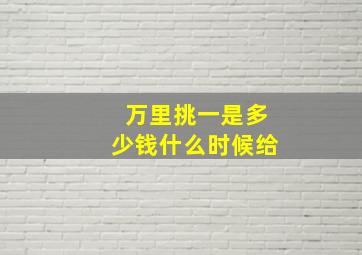 万里挑一是多少钱什么时候给