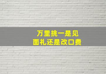 万里挑一是见面礼还是改口费